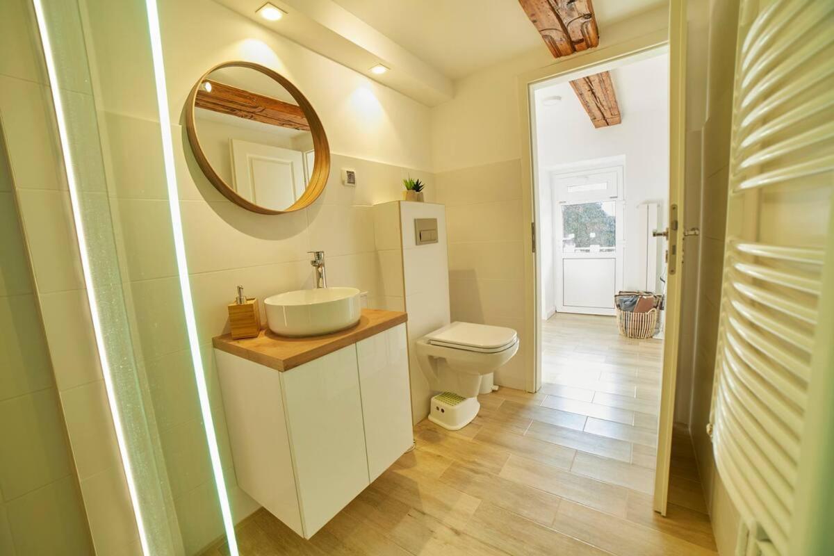 Schei Residence ブラショフ エクステリア 写真
