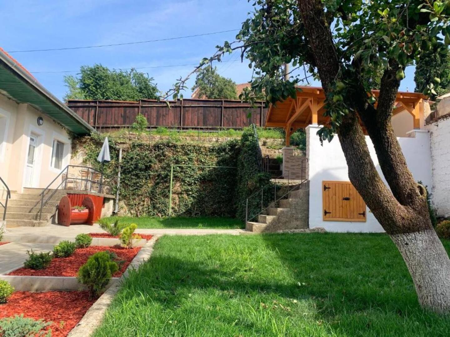 Schei Residence ブラショフ エクステリア 写真